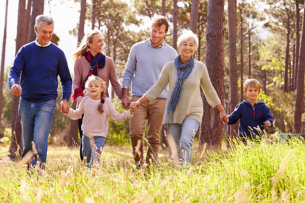 Personal Insurance in Florida